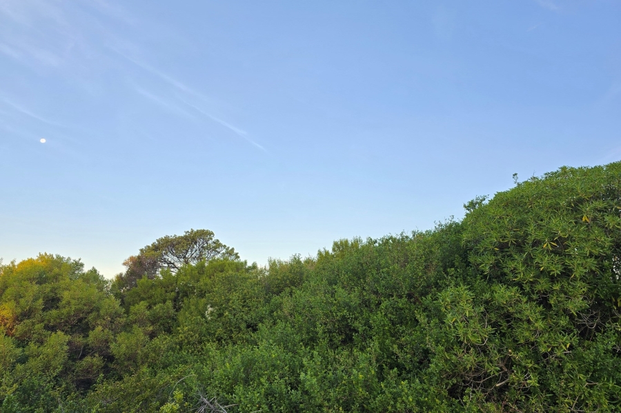0 Bedroom Property for Sale in St Francis On Sea Eastern Cape